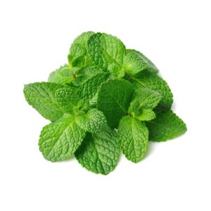 Mint-Leaf-300x300-1.jpg