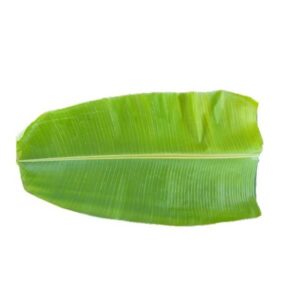 banana-leaf-300x300-1.jpg